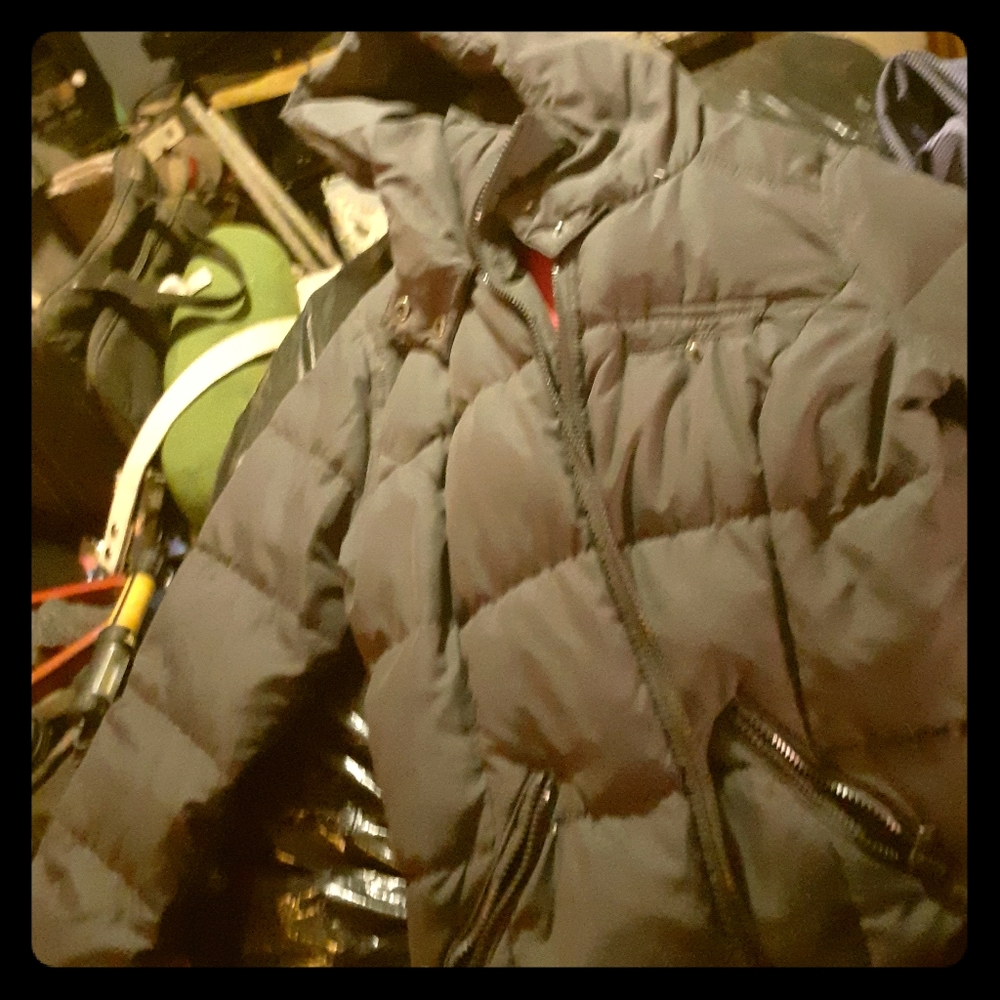 Hollister Jacket